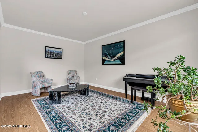 a living room with furniture and a rug