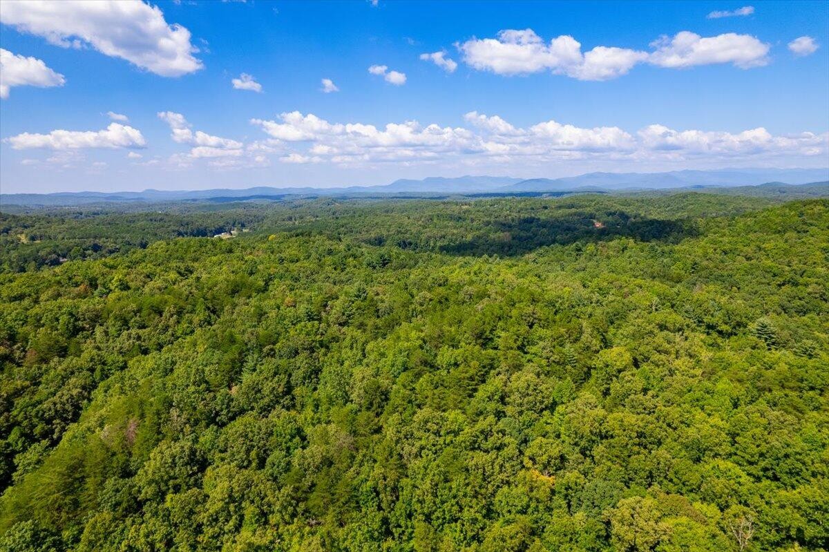 0 Calvender Road Turtletown, TN 37391 - Photo 14 of 23