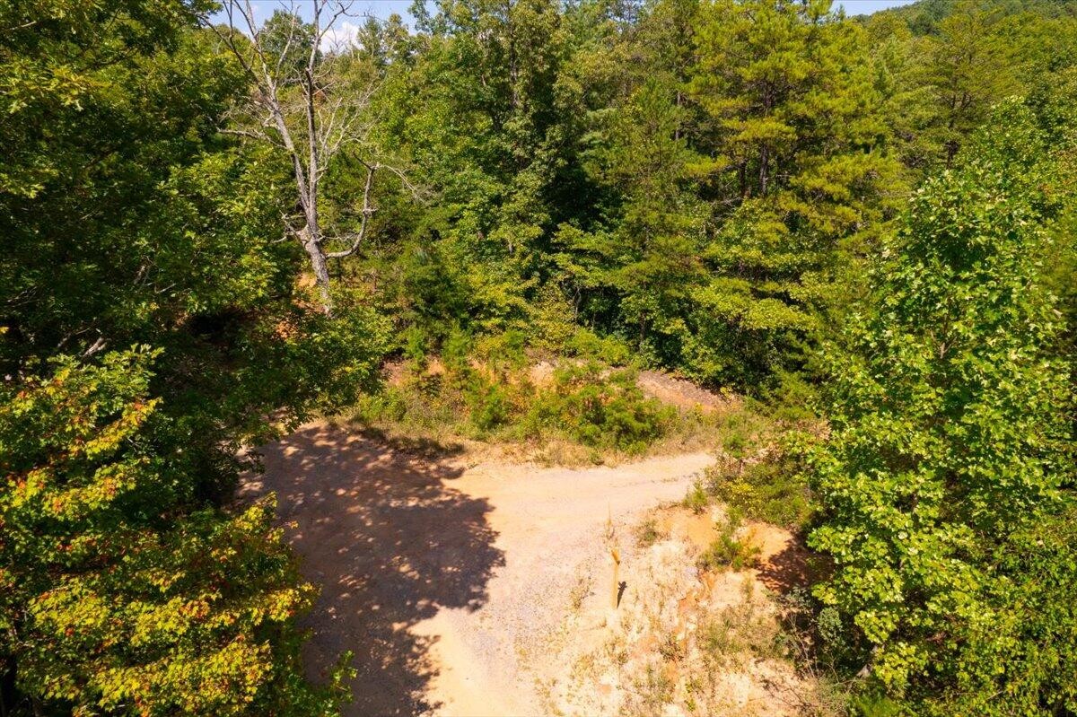0 Calvender Road Turtletown, TN 37391 - Photo 22 of 23