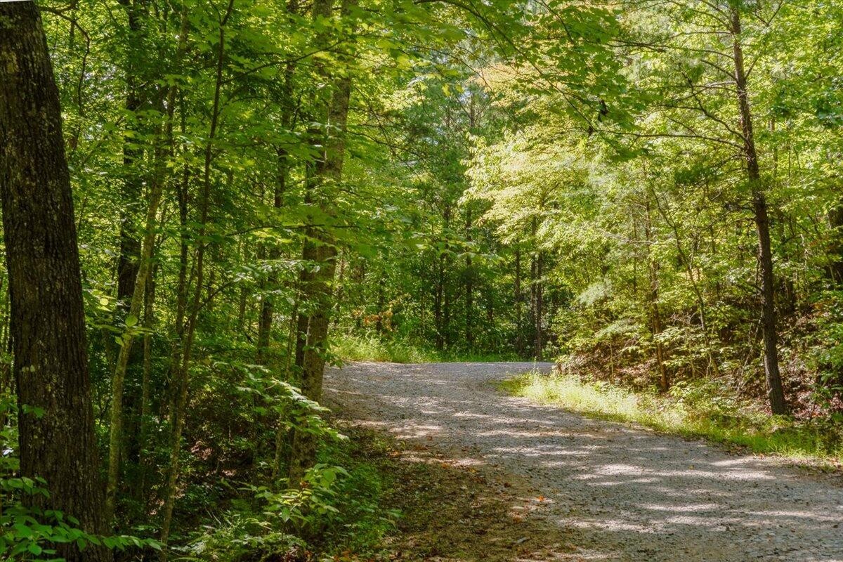 0 Calvender Road Turtletown, TN 37391 - Photo 3 of 23