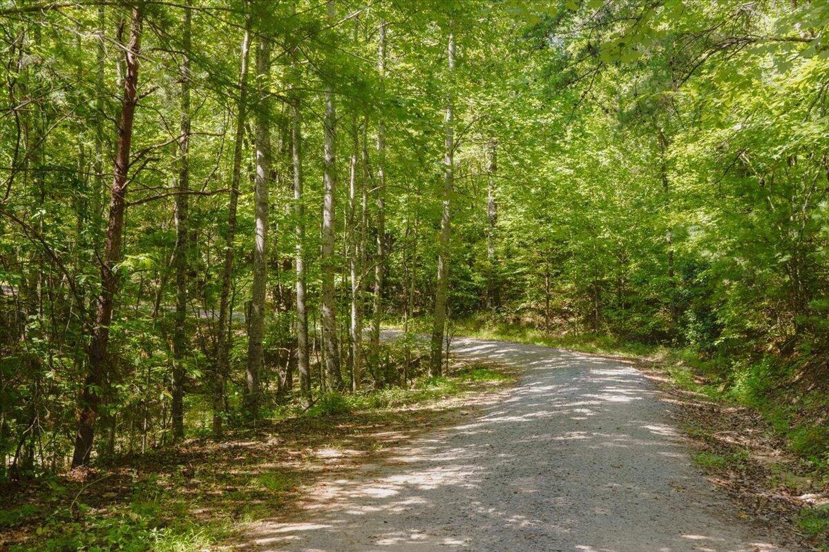 0 Calvender Road Turtletown, TN 37391 - Photo 4 of 23
