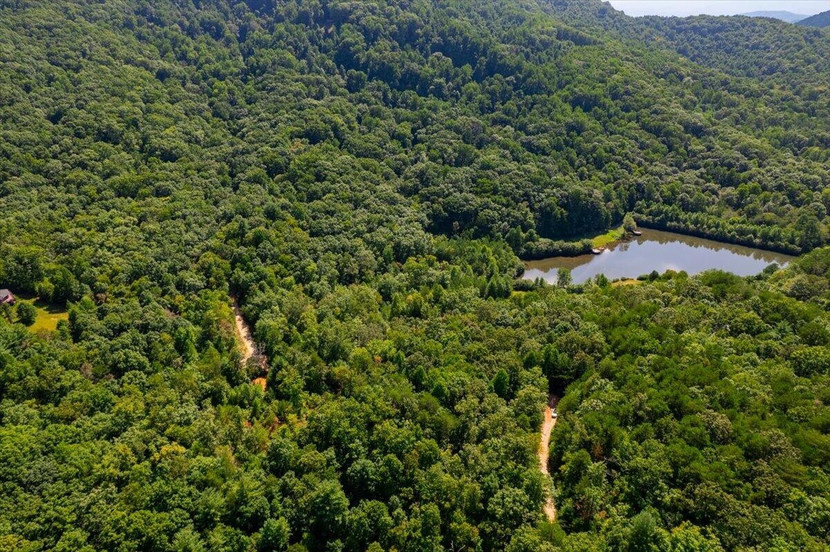 0 Calvender Road Turtletown, TN 37391 - Photo 8 of 23