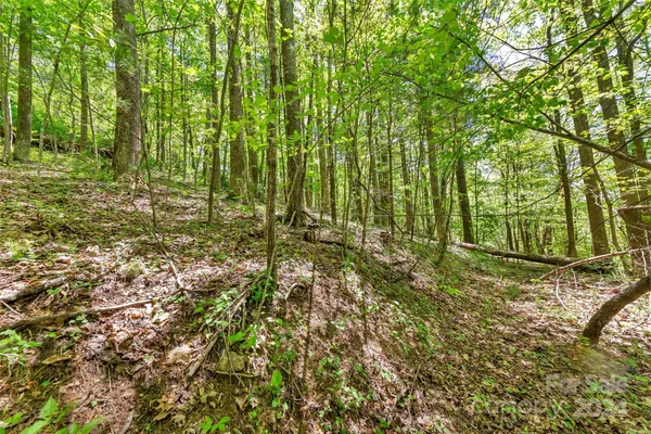 $695,600 | 0 Gouges Creek Road, Spruce Pine, NC 28777