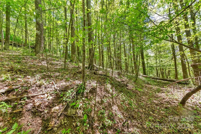 $695,600 | 0 Gouges Creek Road, Spruce Pine, NC 28777