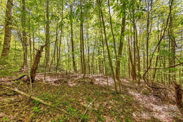 $695,600 | 0 Gouges Creek Road, Spruce Pine, NC 28777