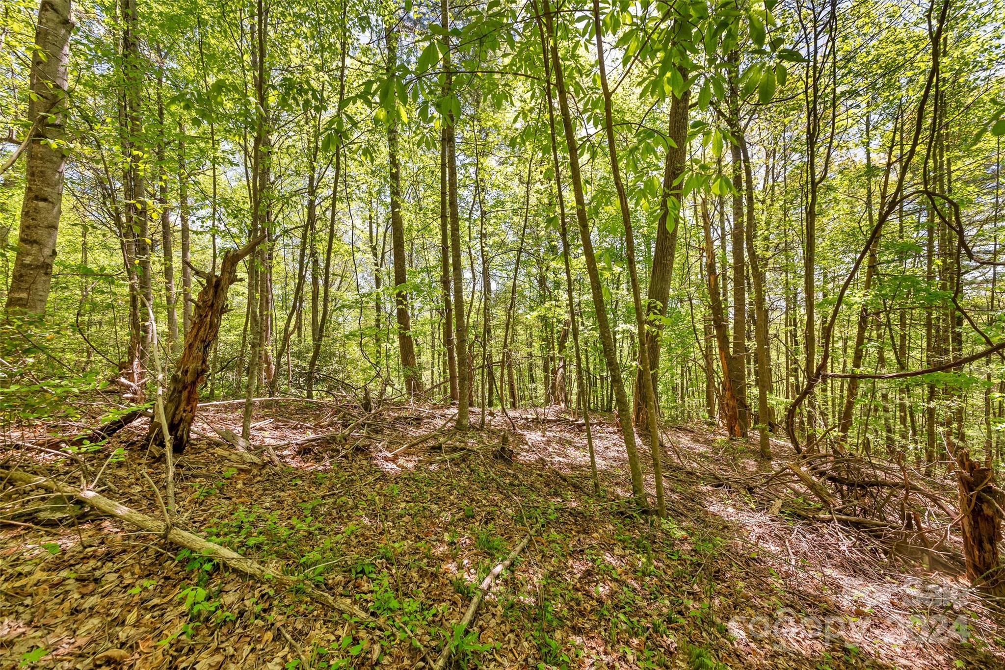 0 Gouges Creek Road Spruce Pine, NC 28777 - Photo 3 of 9