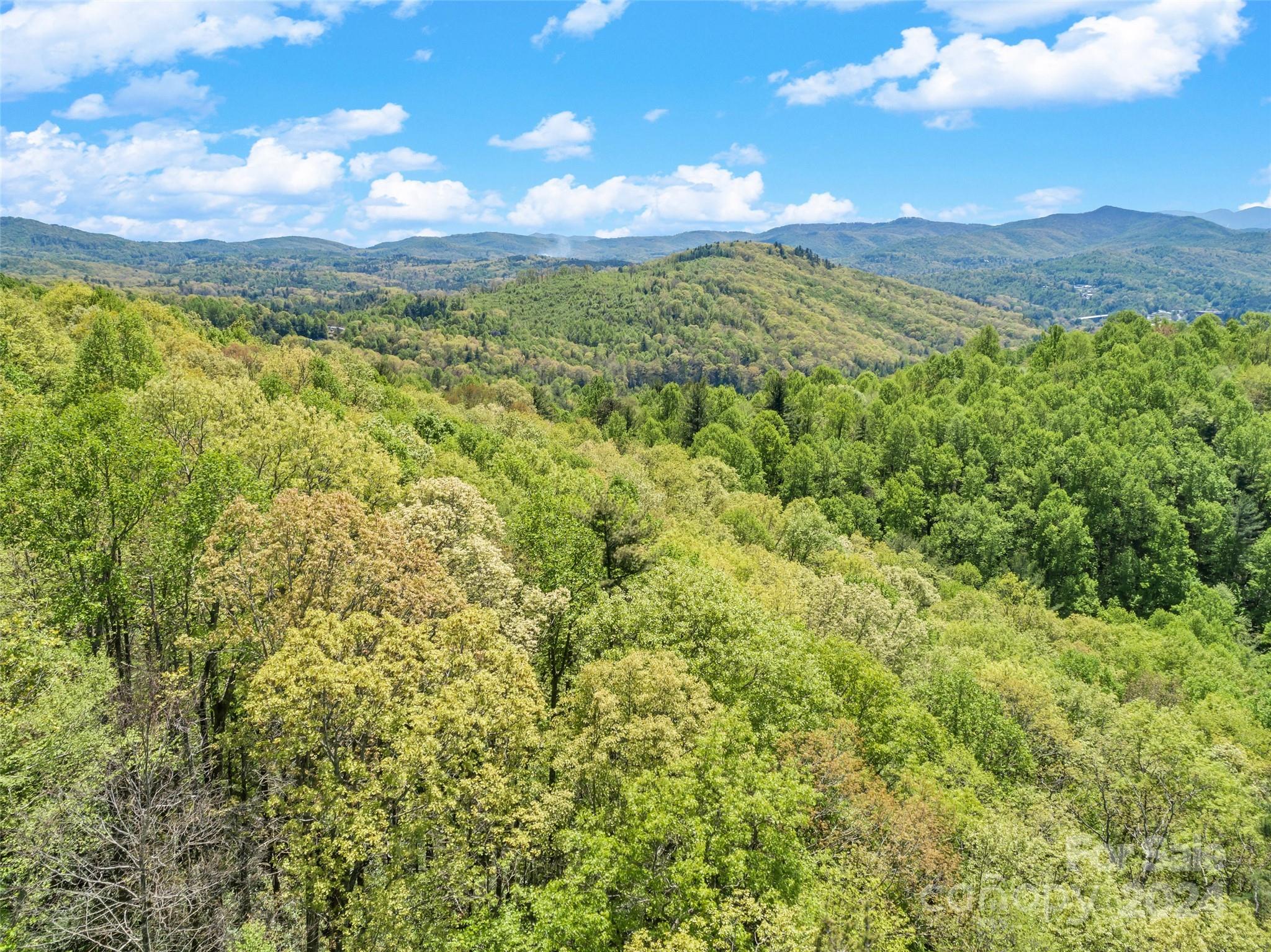 0 Gouges Creek Road Spruce Pine, NC 28777 - Photo 6 of 9