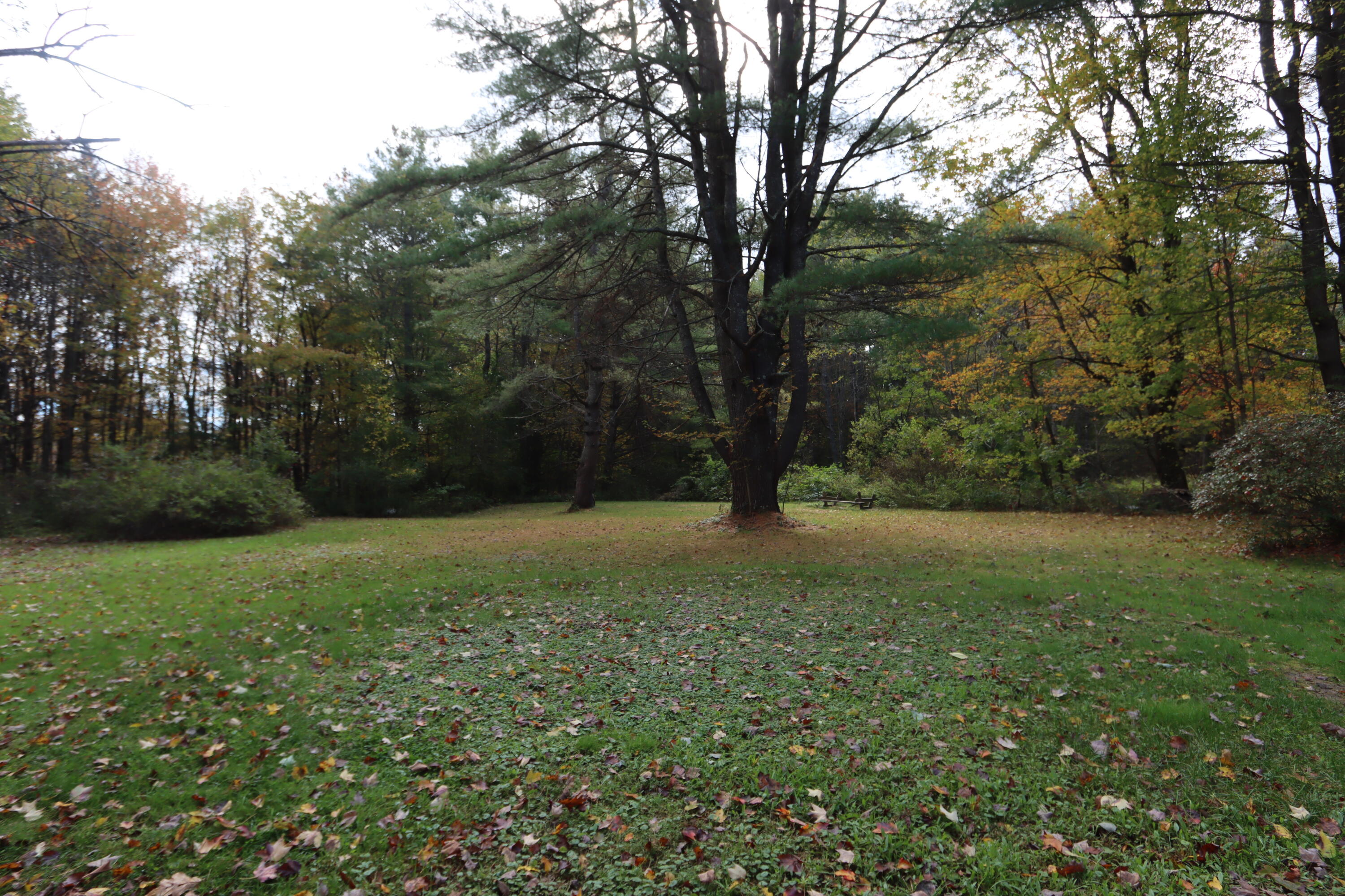 17 Crowley Road Lewiston, ME 04240 - Photo 28 of 32 IMG_6559