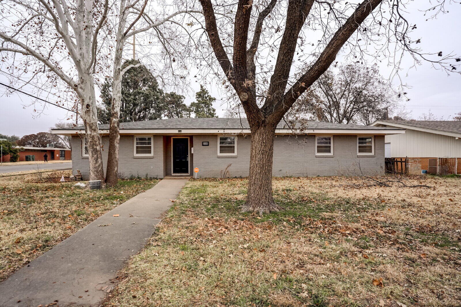 a tree in front of a white house