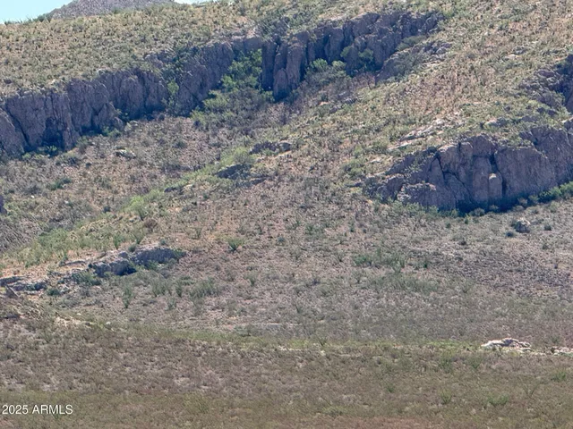 a view of a dry yard with wooden fence
