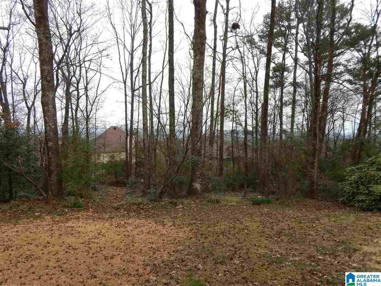 69 Shades Crest Road Hoover, AL 35226 - Photo 23 of 31 Gallery Image 23