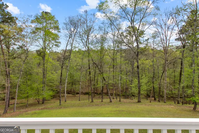 a view of a park with large trees