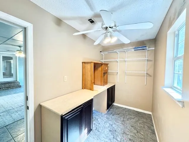 a view of a garden with potted plants