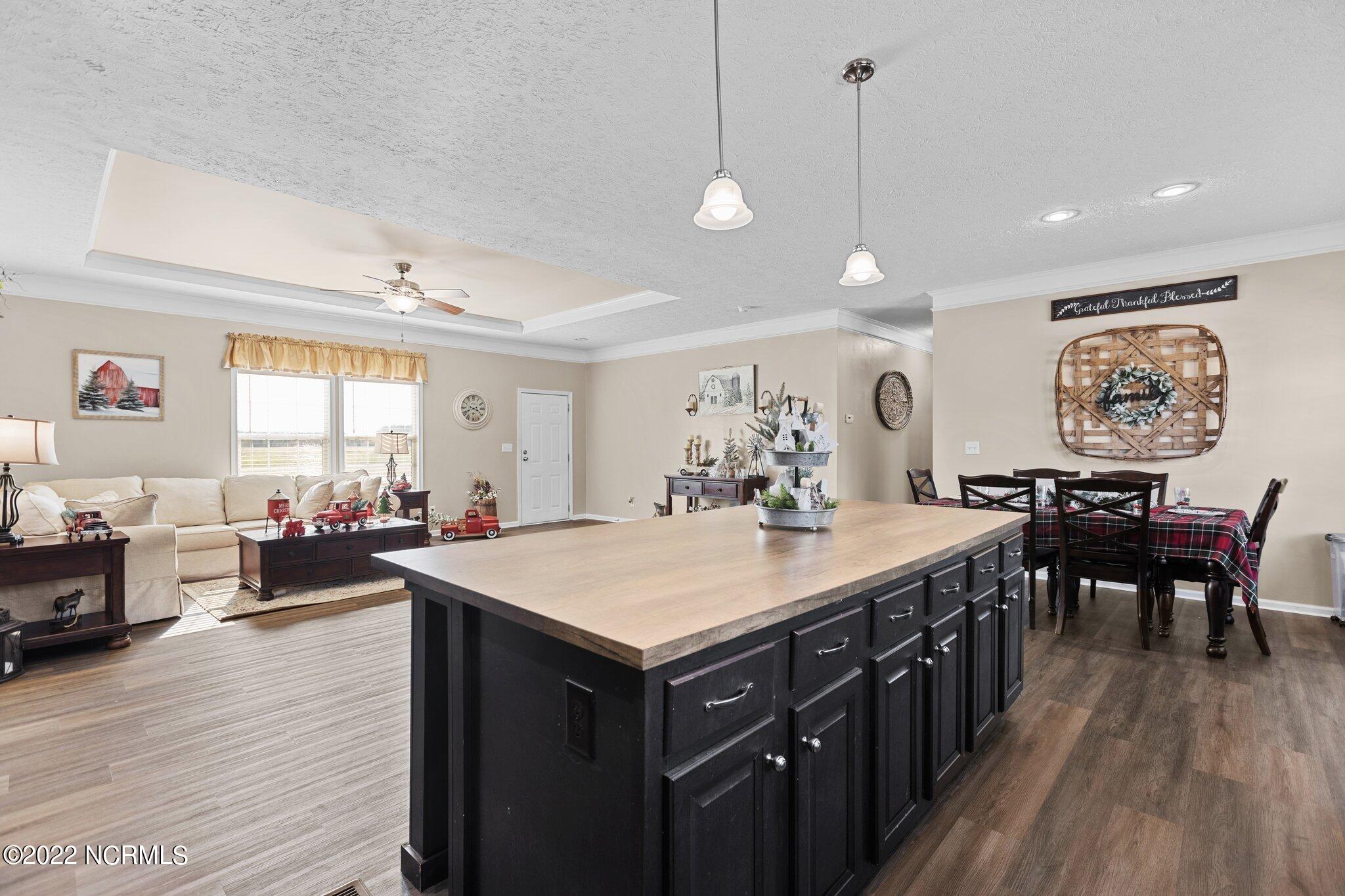 1803 Carr Farm Road Macclesfield, NC 27852 - Photo 20 of 38 26-web-or-mls-IMGL7249