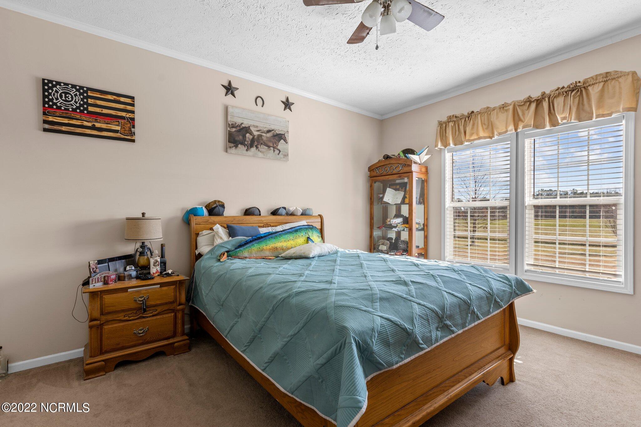1803 Carr Farm Road Macclesfield, NC 27852 - Photo 32 of 38 37-web-or-mls-IMGL7285