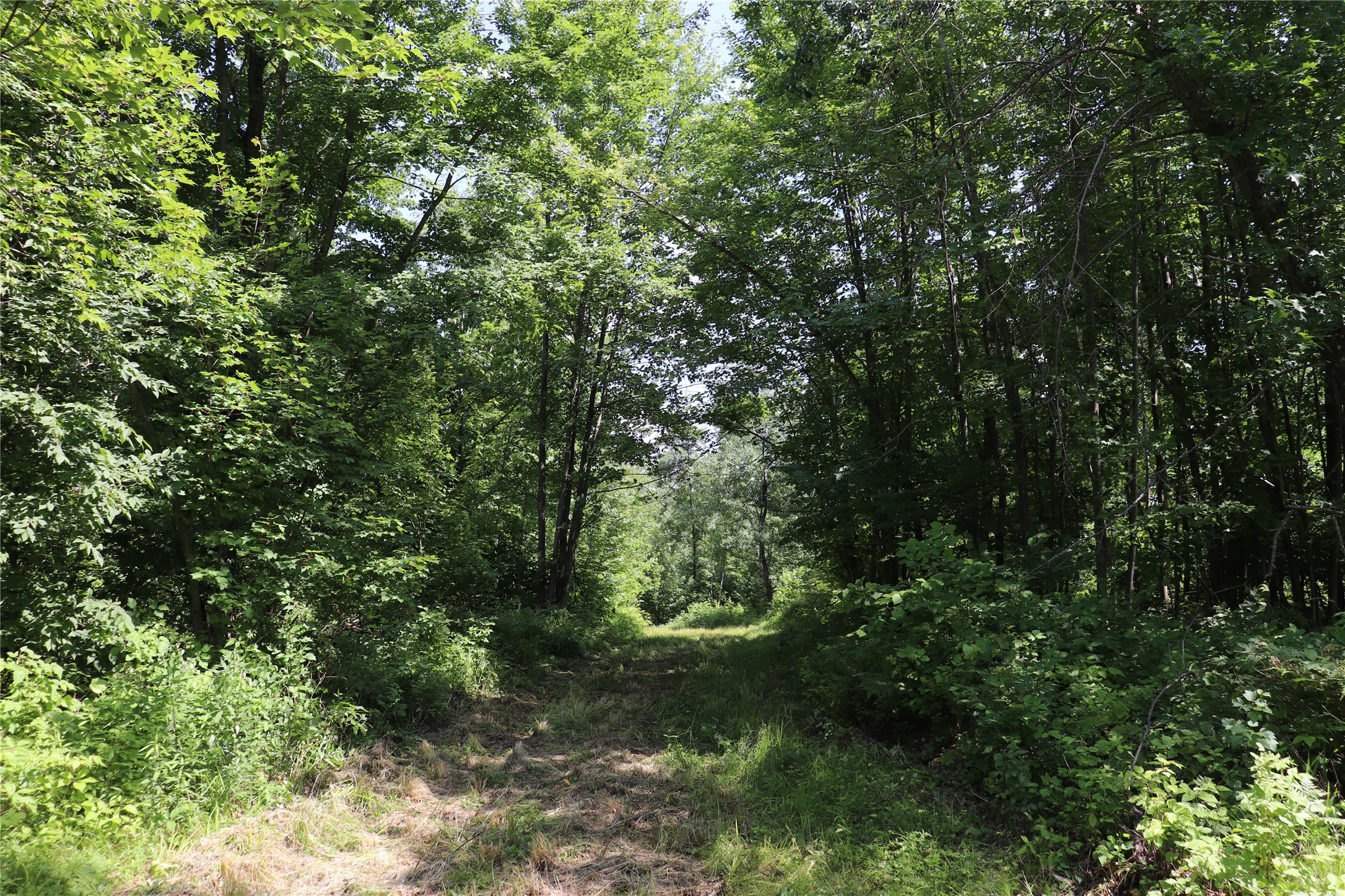 S11305 Kempton Road Augusta, WI 54722 - Photo 24 of 57