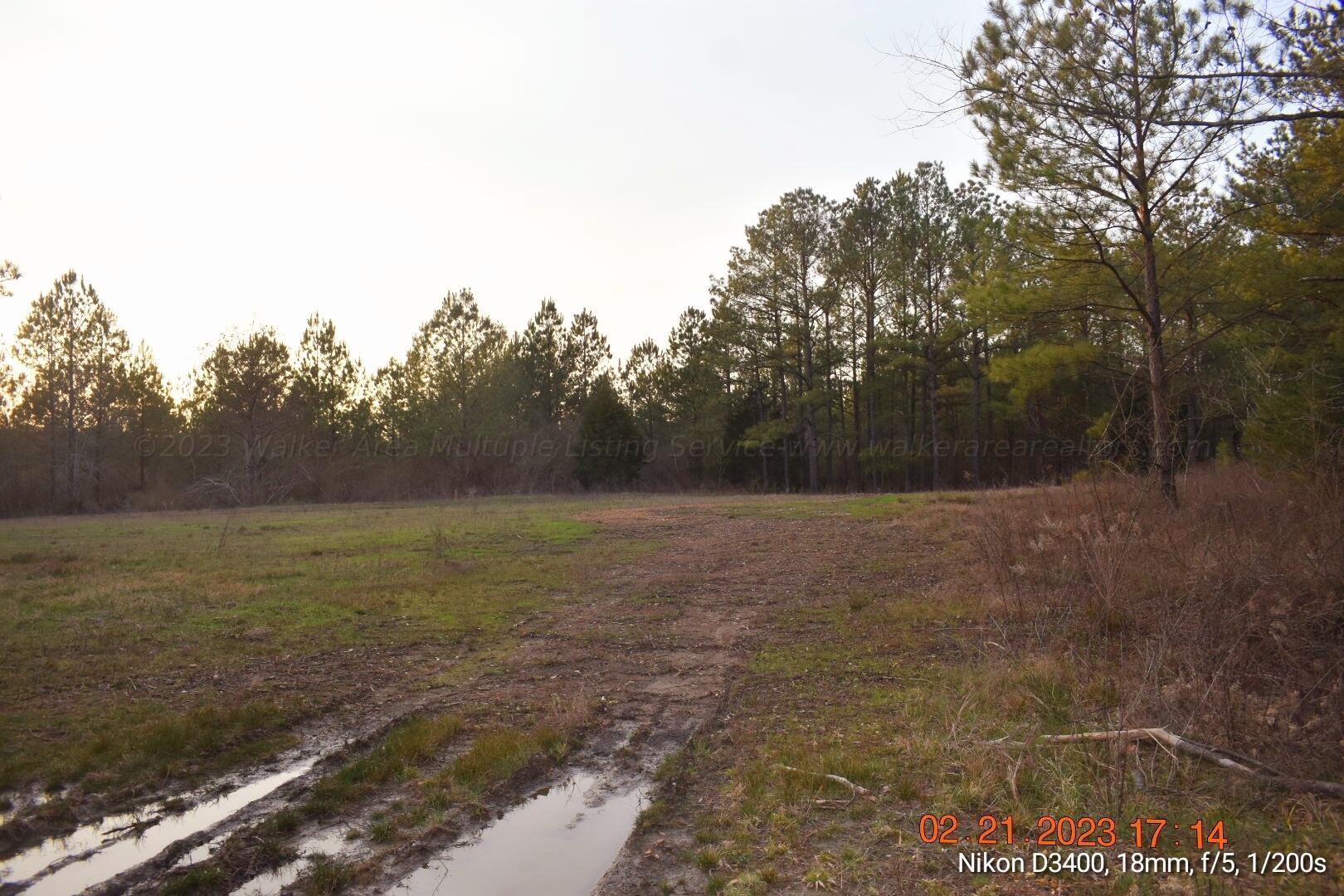Leonards Chapel Road Carbon Hill, AL 35549 - Photo 31 of 41 Gallery Image 31