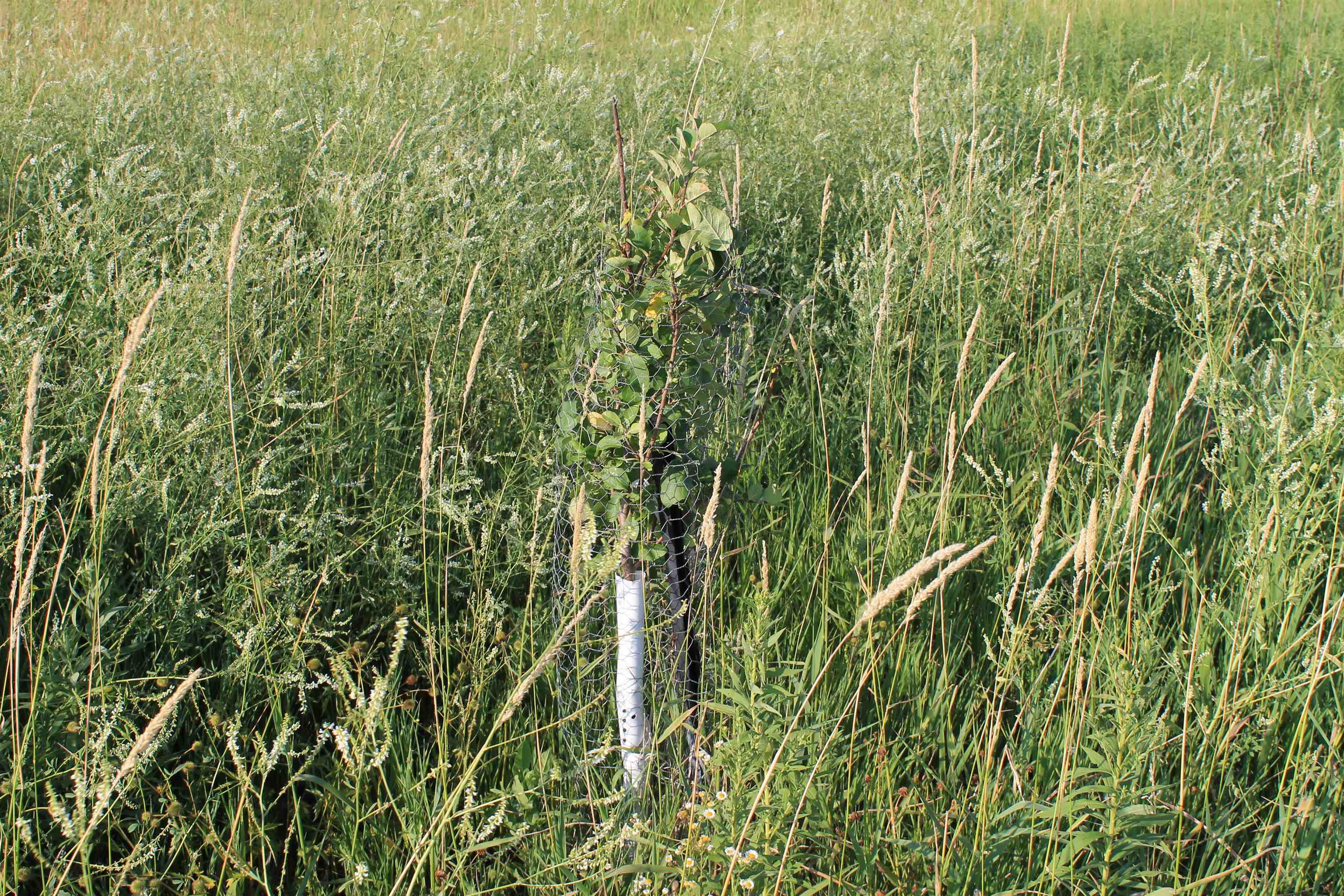 Cty Road Reedsville, WI 54230 - Photo 20 of 29 Gallery Image 20