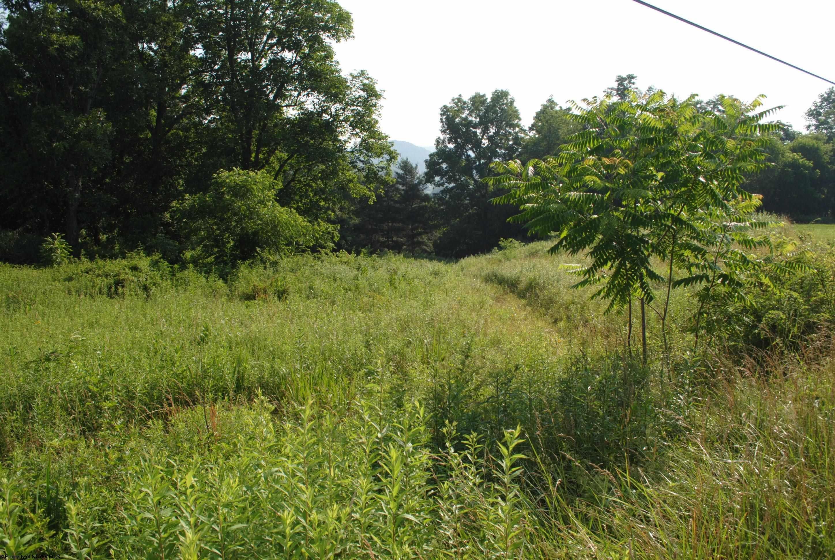 Tbd Rohrbough Street Belington, WV 26250 - Photo 4 of 20 Gallery Image 4