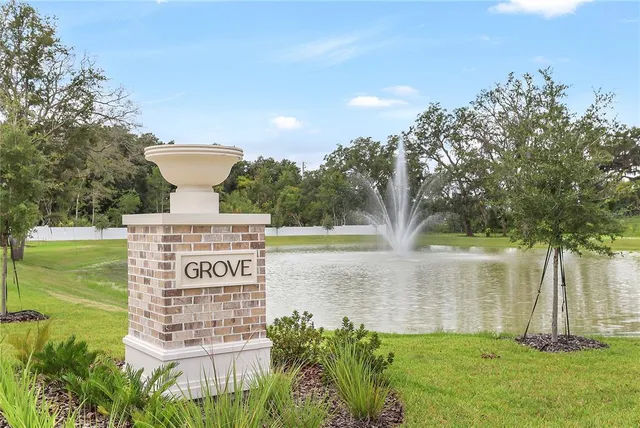 a view of a park with large trees