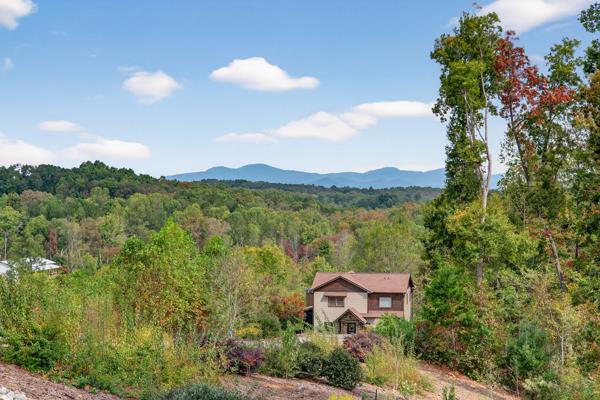 320 Amber Ridge Blue Ridge, GA 30513 - Photo 9 of 51