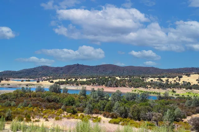 a room with wooden cabinet
