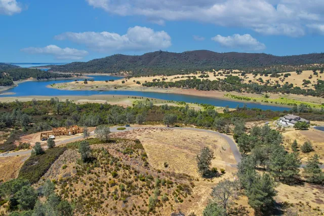 a view of a yard with a tree