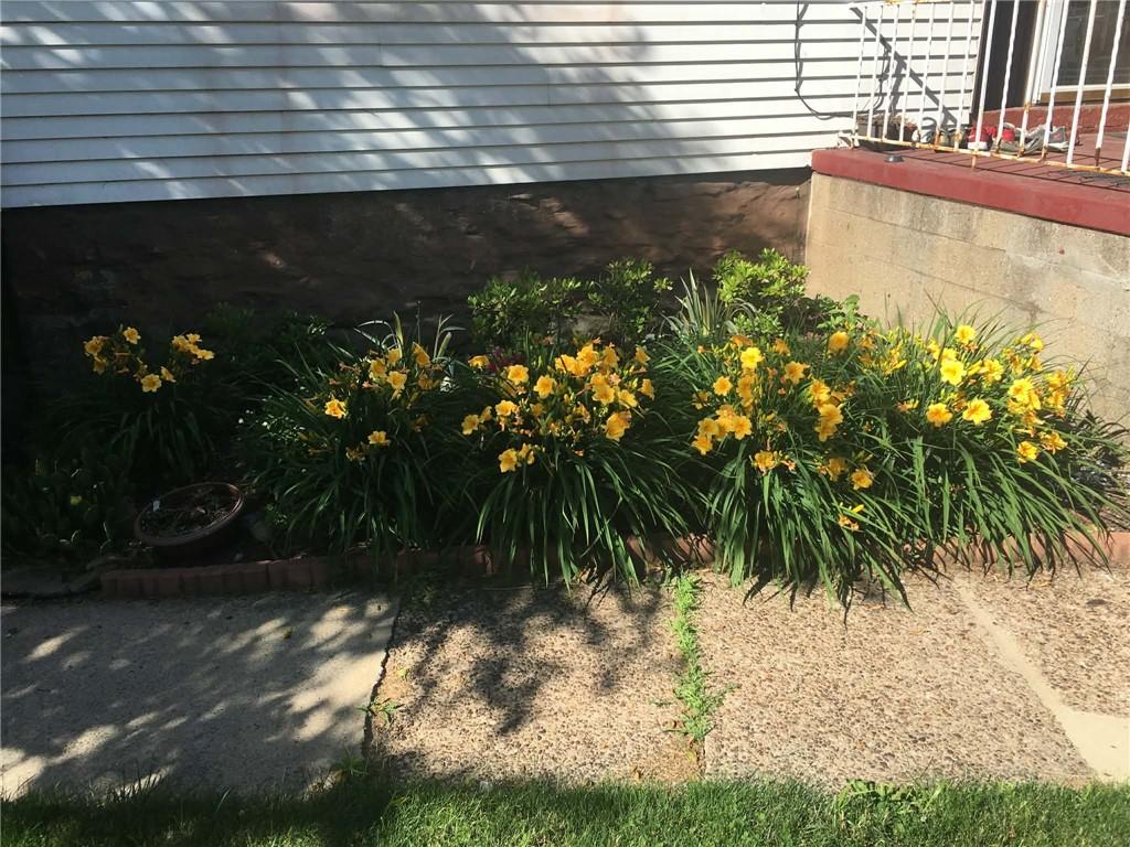 1911 Delaware Avenue Pittsburgh, PA 15218 - Photo 9 of 17 a close up of a flower pot