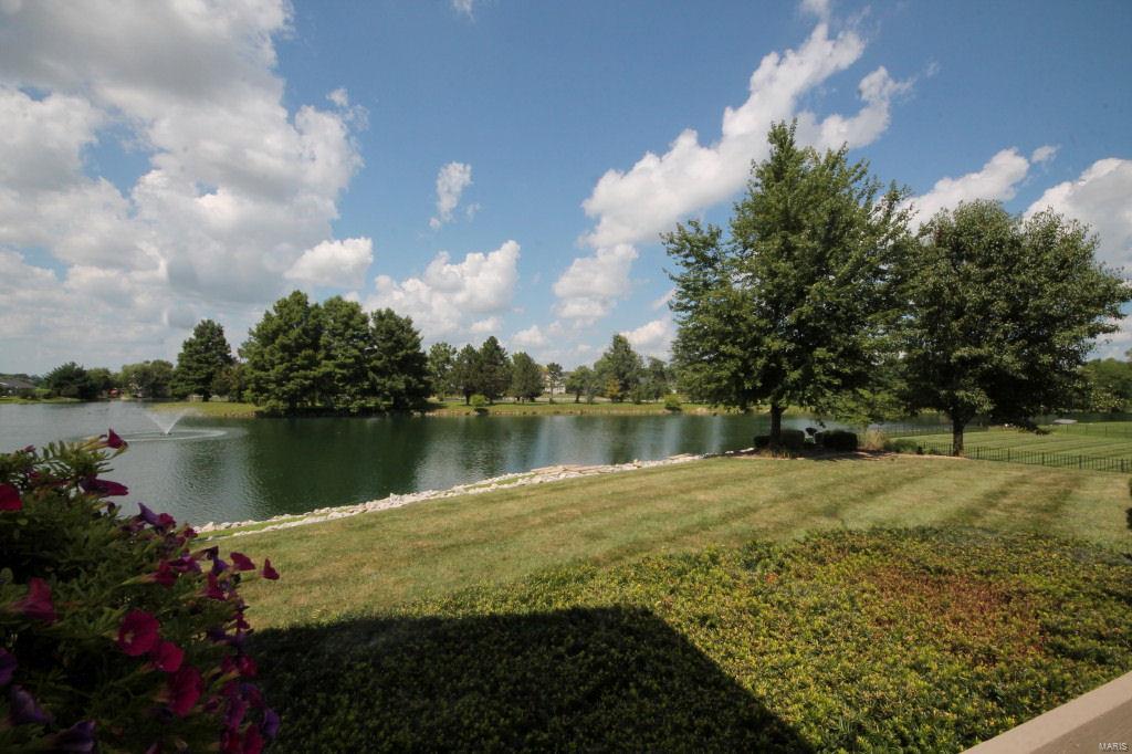 3709 Rhetts Landing Shiloh, IL 62221 - Photo 4 of 54 Gallery Image 4