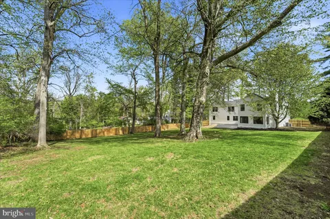 a view of a park with large trees
