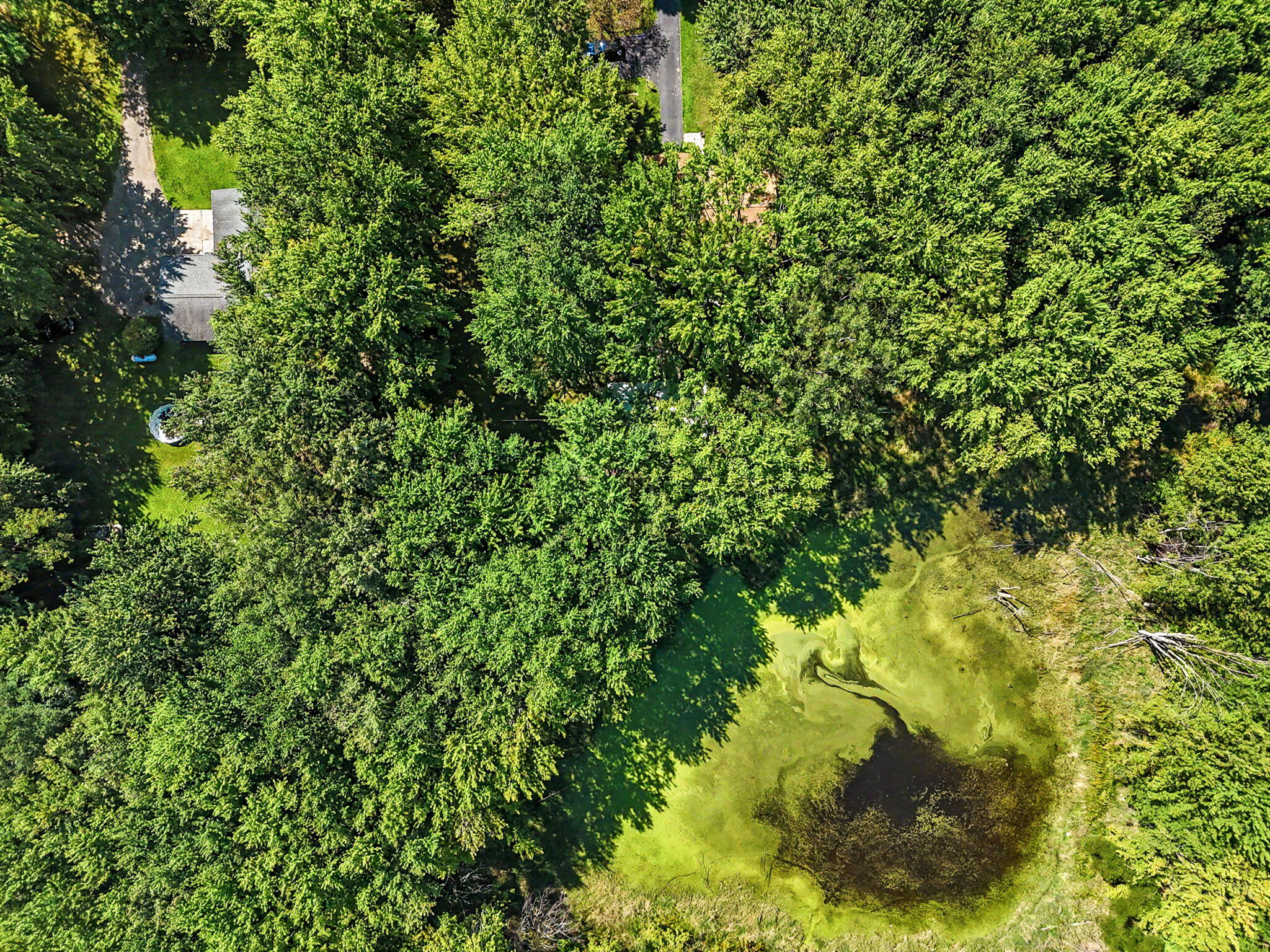 1940 Maple Grove Road Jackson, MI 49201 - Photo 47 of 53 47-web-or-mls-drone6