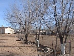 759 Ruth Road Chino Valley, AZ 86323 - Photo 3 of 12 Additional Photo