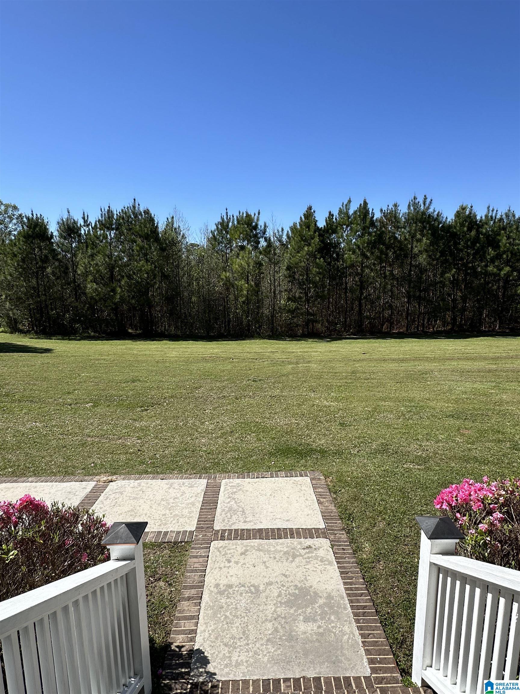 179 Elbert Gallimore Road Hayden, AL 35079 - Photo 5 of 93