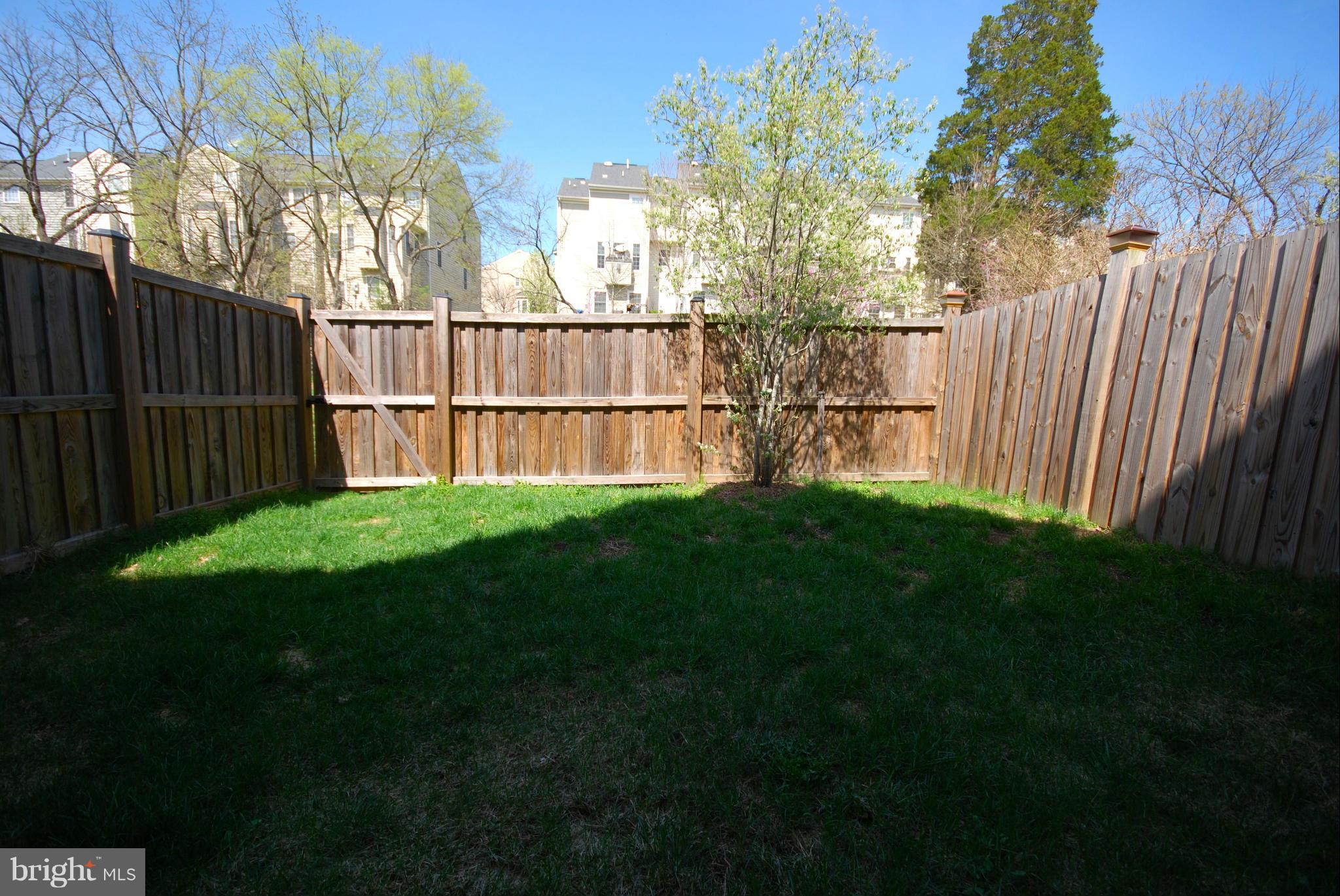9103 Ribbon Falls Loop Bristow, VA 20136 - Photo 14 of 16 Exterior (Rear)