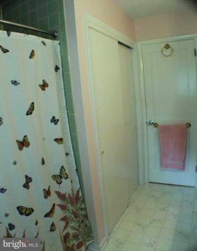 204 Thompson Road Chester, MD 21619 - Photo 11 of 30 a bathroom with a shower