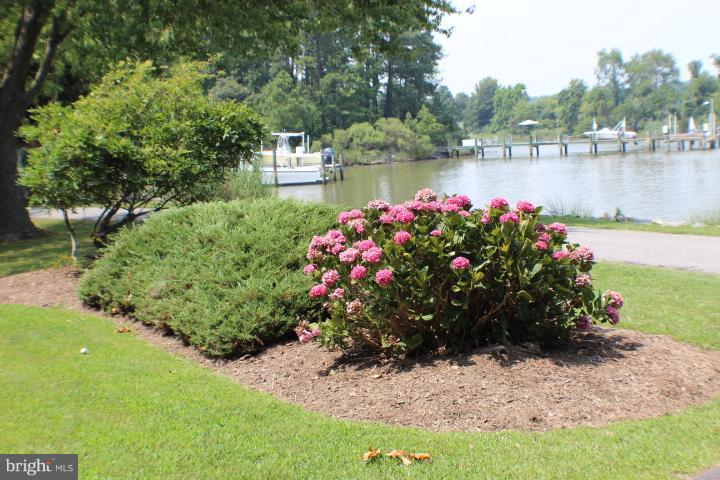 204 Thompson Road Chester, MD 21619 - Photo 15 of 30 a view of a lake with a flower garden