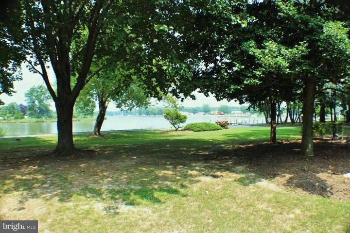 204 Thompson Road Chester, MD 21619 - Photo 27 of 30 a view of a yard with a tree