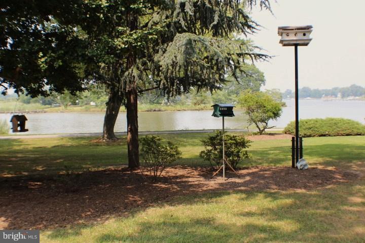 204 Thompson Road Chester, MD 21619 - Photo 9 of 30 a view of a park