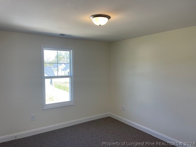 58 Rocking Canal Place Erwin, NC 28339 - Photo 14 of 19 Gallery Image 14