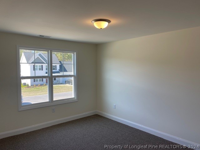 58 Rocking Canal Place Erwin, NC 28339 - Photo 15 of 19 Gallery Image 15