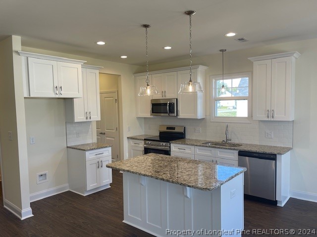 58 Rocking Canal Place Erwin, NC 28339 - Photo 4 of 19 Gallery Image 4