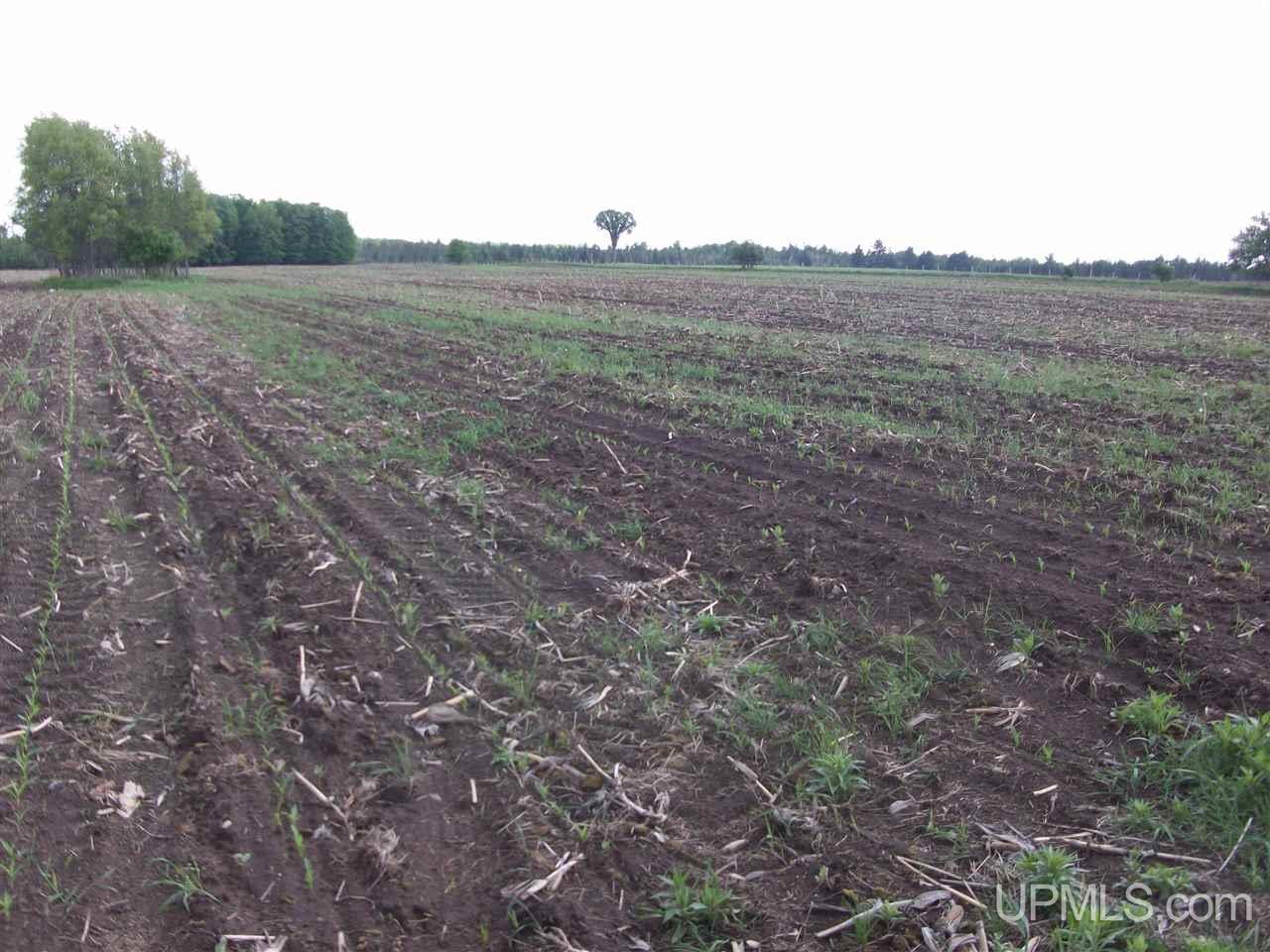 Tbd Co Rd 426 & River Road Cornell, MI 49818 - Photo 15 of 15
