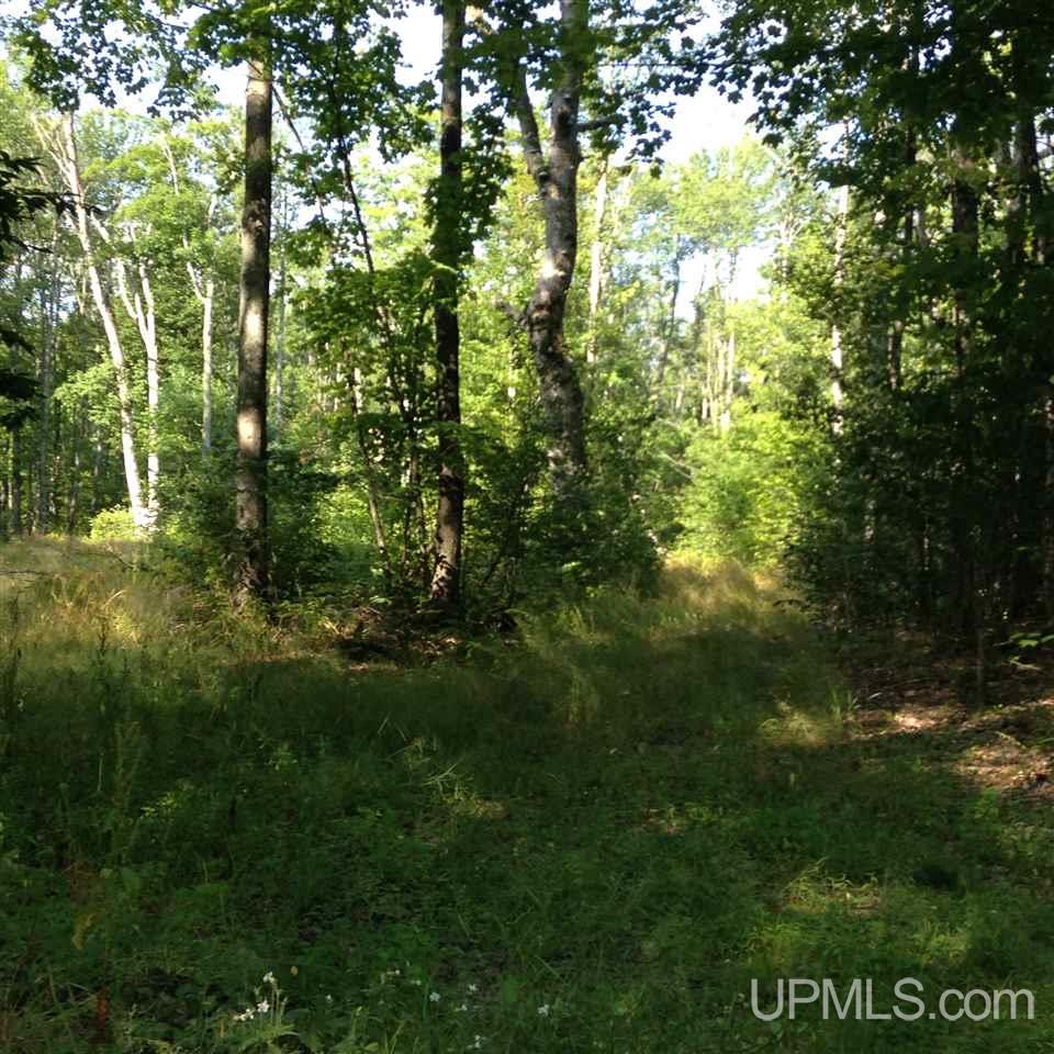 N9703 South Ross Lake Road Shingleton, MI 49884 - Photo 2 of 8