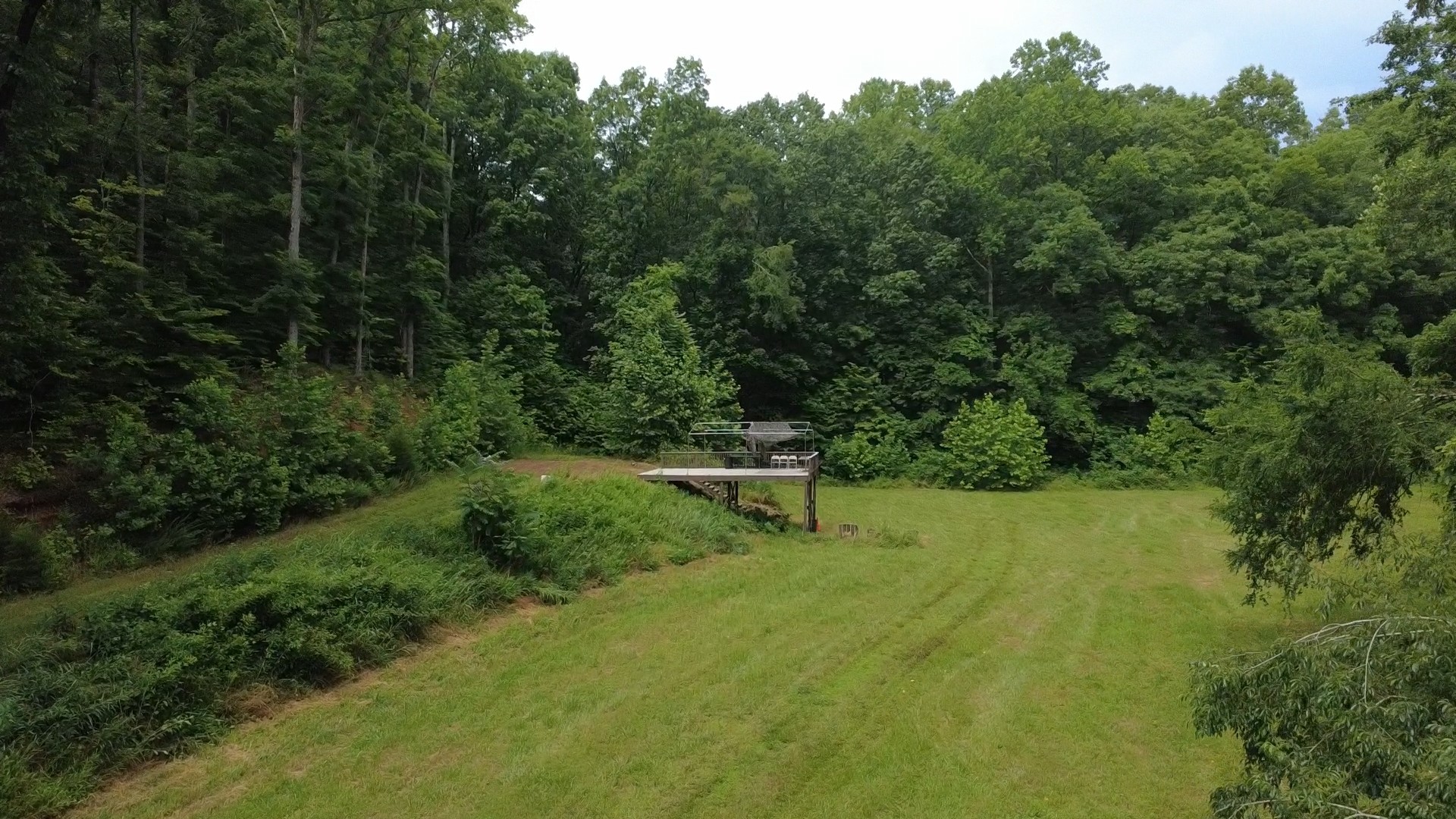 7075 Pinewood Road Nunnelly, TN 37137 - Photo 10 of 49 a view of a outdoor space
