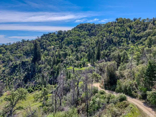 $4,800,000 | 12300 Skaggs Springs Road, Geyserville, CA 95441