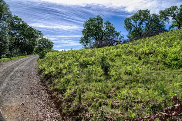 $4,800,000 | 12300 Skaggs Springs Road, Geyserville, CA 95441