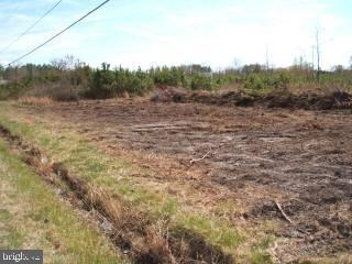 13 Fishing Island Road Westover, MD 21871 - Photo 2 of 6