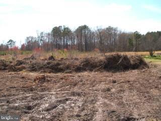 13 Fishing Island Road Westover, MD 21871 - Photo 5 of 6