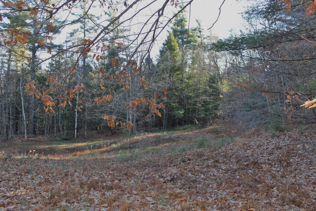 0 Memory Lane Sebago, ME 04029 - Photo 4 of 16 Photo