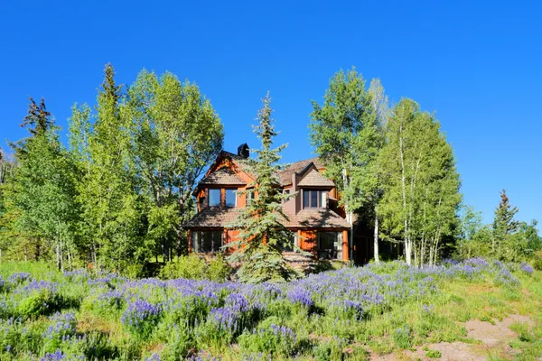 $7,500,000 | 130 Russell Drive, Mountain Village, CO 81435